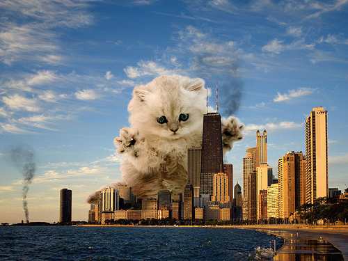 catzilla