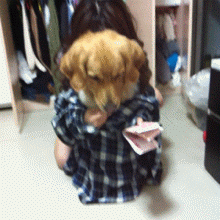 http://www.barnorama.com/wp-content/images/2012/03/daily-gifdump-206/04-daily-gifdump-206.gif