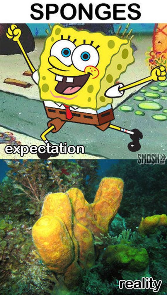 expectation_and_reality