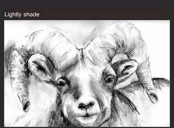 how_to_draw_a_sheep