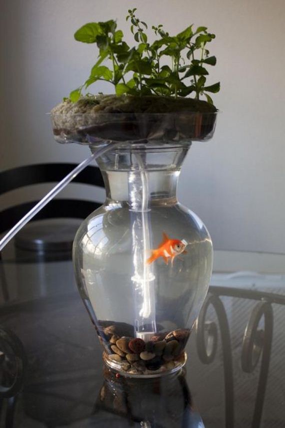fish tank cleaning filter - NoClean Aquariums? ? Self ...