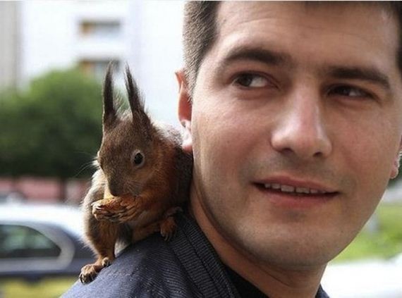 soldier-squirrel