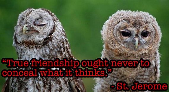 things_ever_said_about_friendship