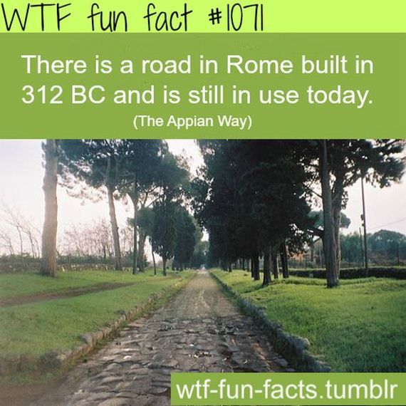 39-wtf_fun_facts.jpg