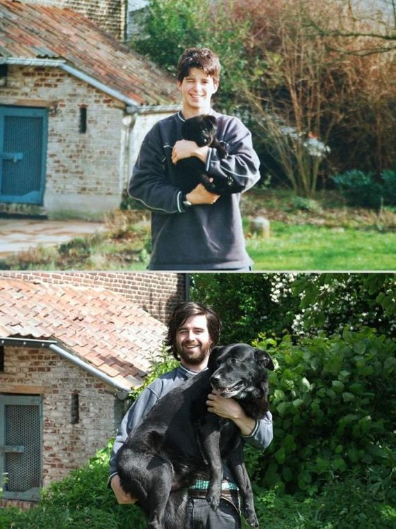 Animals-Before-and-After