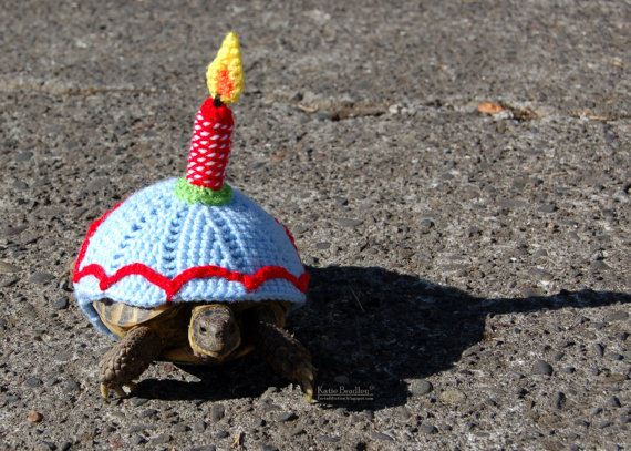 Artist-Crochets-Tortoises