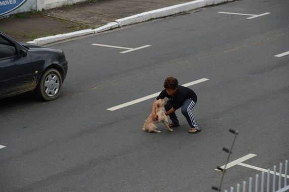 boy_gets_into_traffic_to_help_dog_that_was_hit