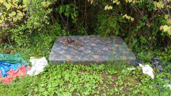 extreme_makeover_sx_mattress_in_the_middle_of_the_woods_edition