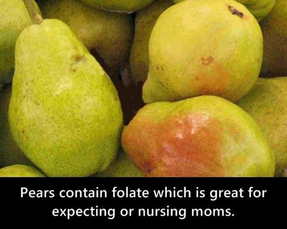 fruit_is_natures_greatest_gift