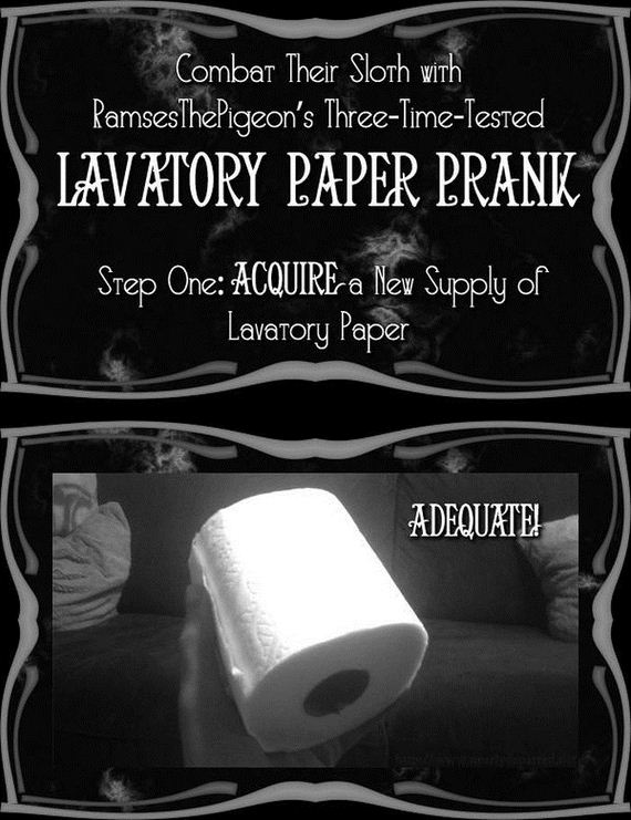 how_to_execute_the_most_annoying_toilet_paper_prank_ever