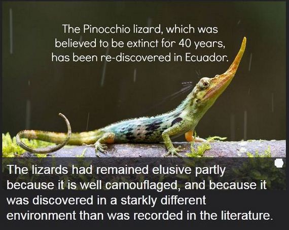 interesting_facts_about_science