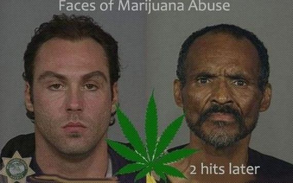 11-marijuana_disinformation_finest.jpg