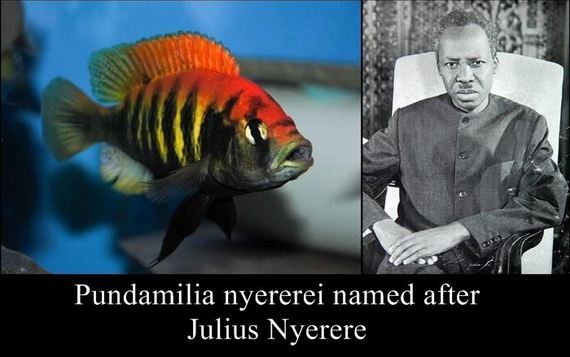 species_named_after_famous_persons_strange