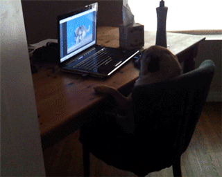 http://www.barnorama.com/wp-content/images/2013/01/wtf_16/40-wtf_16.gif