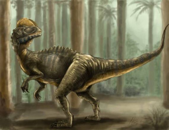 dilophosaurus dangerous dinosaurs dinosaur super deviantart went tyrannosaurus extinct glad science random venom rex barnorama fact thought img07 274f accurate