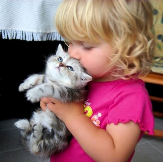 Image result for kids love cats