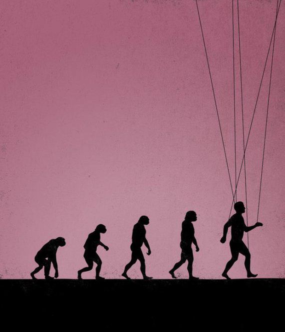 evolution-illustrations-maentis