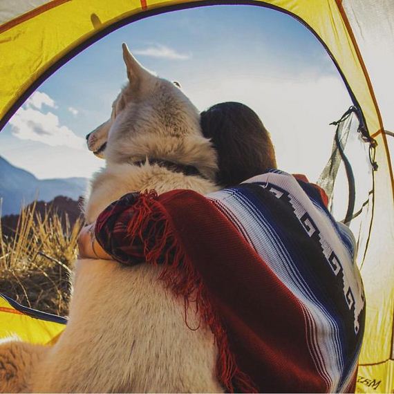 camping_with_dog