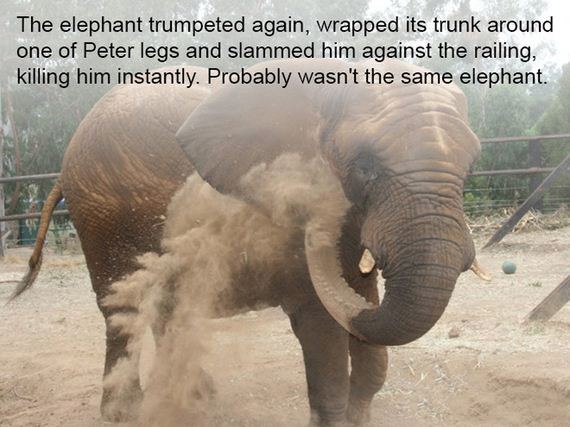 elephants_never_forget