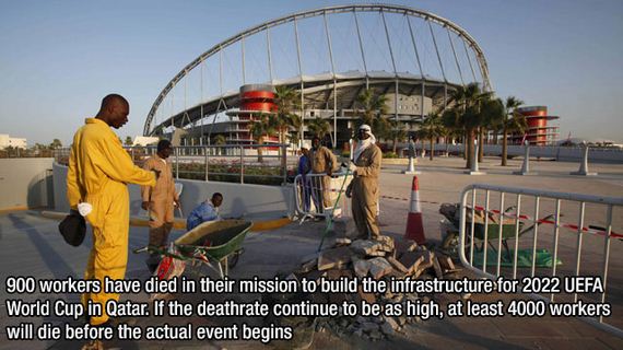 fascinating_facts-5