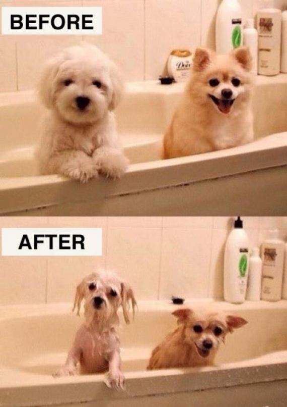 before_and_after