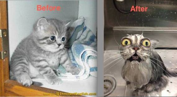 hilarious_before_and_after
