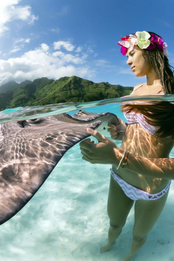 Underwater Photos Show Gorgeous Models Swimming With Stingrays - Barnorama