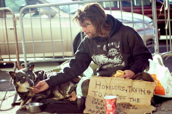 homeless_dogs