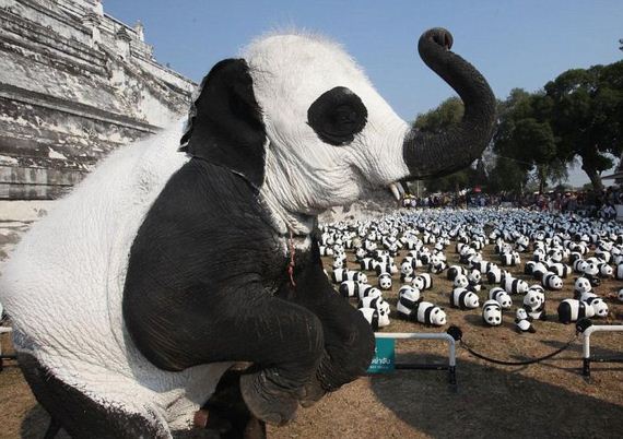 elephants_disguised_as_pandas
