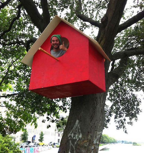 guy-builds-3500-birdhouses