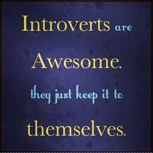 Image result for introverts