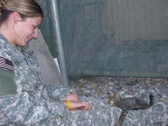 04-soldier-saves-cat-from-afghanistan