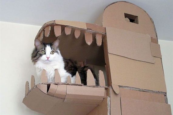 01-cardboard_cat