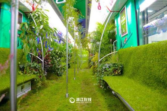03-china_green_metro