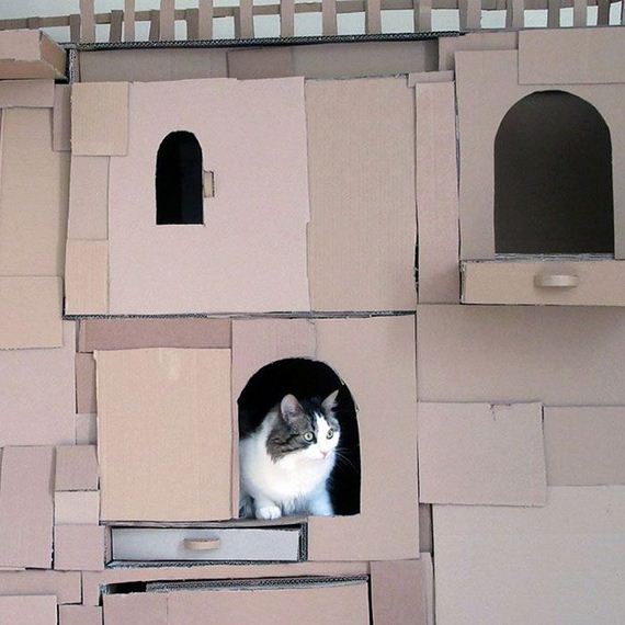 04-cardboard_cat
