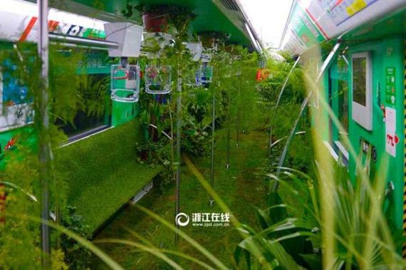 04-china_green_metro