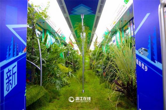 05-china_green_metro
