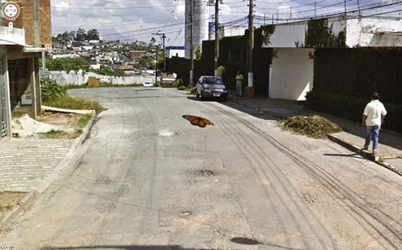19-wtf-google-map-pictures