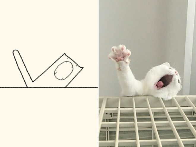 Really Accurate Cat Drawings Barnorama