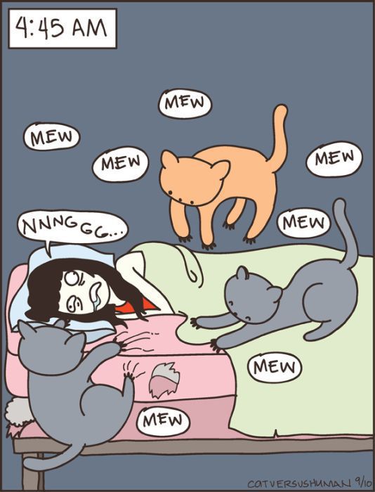 cats-c