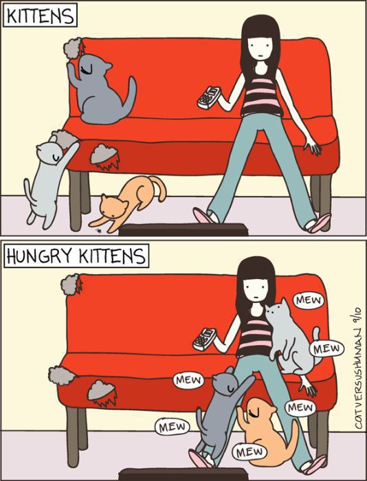 cats-c