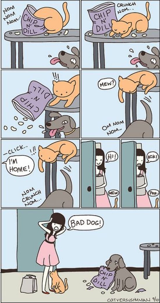 cats-c