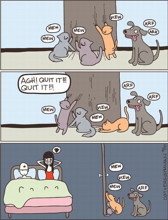 cats-c