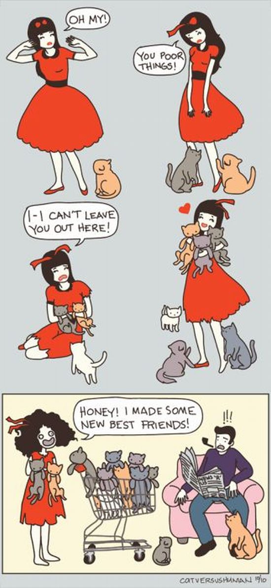 cats-c