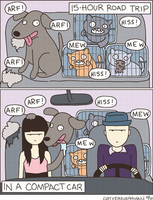 cats-c