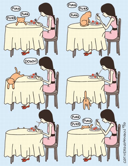 cats-c