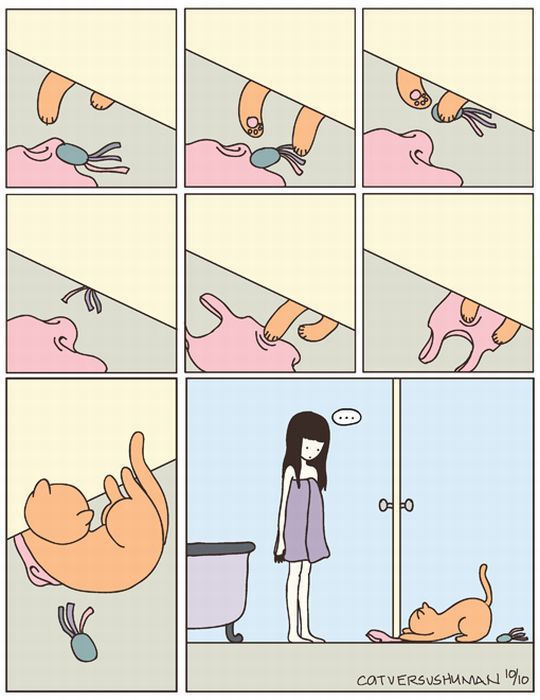 cats-c