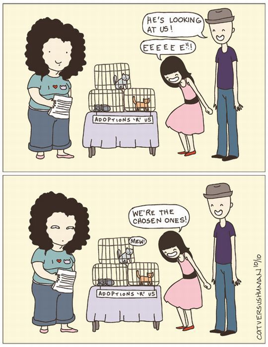cats-c