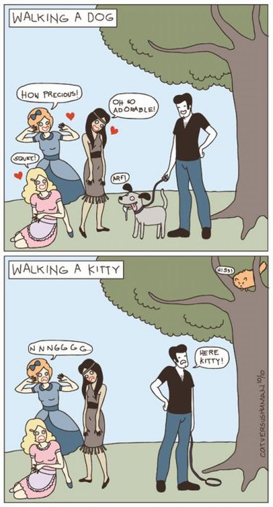 cats-c