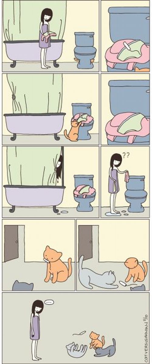 cats-c